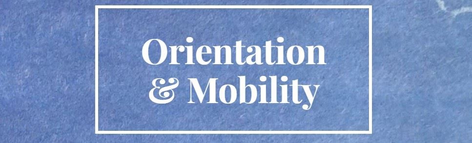 Orientation and Mobility text